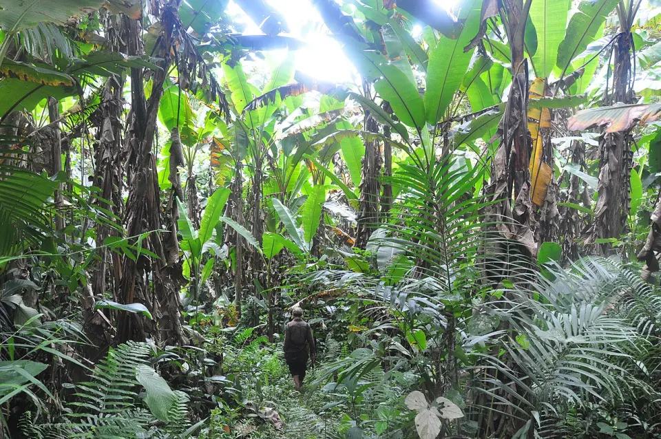 Nam Ha National Protected Area treks